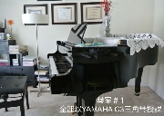 @@@RCM考官专授各科乐理及高级别钢琴@@@