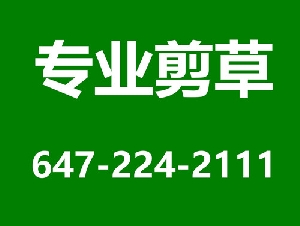 剪草包季$200起