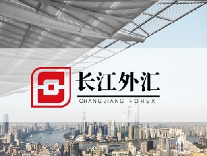 长江外汇 大额货币兑换