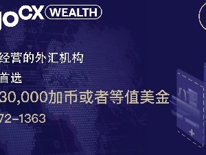 VirgoCX 正规换汇 加拿大首选