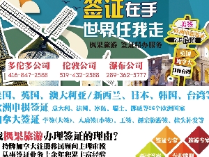 枫果国际移民、留学签证、曼省移民免费咨询