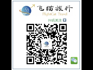 飞猫旅行★优惠回国机票★加勒比海自由行★欢迎咨询