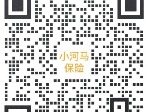小河马保险 -  保险比价，就找小河马！超过25+保险公司
