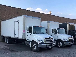 WExpress 快线运输