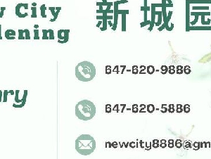 ★新城园艺 剪草铲雪★