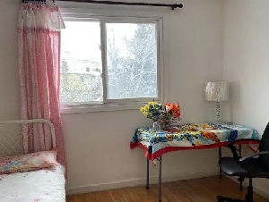 Sheppard/Warden宽敞独立屋寄宿/出租