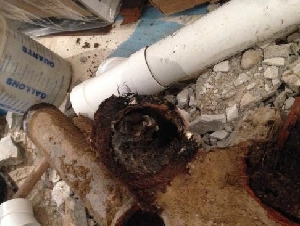 换水龙头、马桶、治漏水、通管道  / 小修小补50元起 /  室外泳池开关