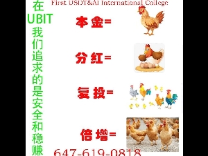 泼天富贵等您加入，UBIT金融投资理财