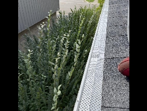 屋顶维修 翻新 水槽清理维修 加装下水管 加水槽网 通风口排风口更换 风塔安装