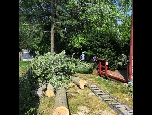 ★★金源园艺★★—砍树.围栏，屋顶，车道