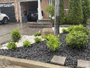 神隆园艺 ： 建造您美丽的花园 前后花园设计建造 铺砖 围栏 花草树木