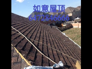专业平顶，斜顶屋顶翻新，专业补漏，水槽清理，加网。屋顶检查维护