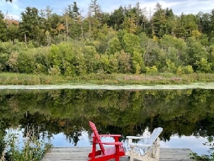 
                警报拉响！加拿大5年内迎最大退休潮，生育率创1.25新低
            