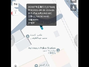 华人谈“失联中国女孩涉嫌诈骗在埃及被捕”