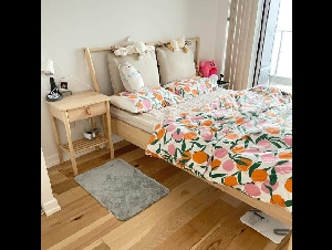 公寓 29层1+1房1厅 1车位 独厨独厕