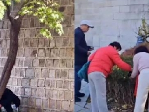 
                中国游客在著名景点当众脱裤大便？网络又炸锅了
            