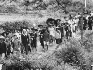 
                中国人移民海外，为什么三世而绝？
            