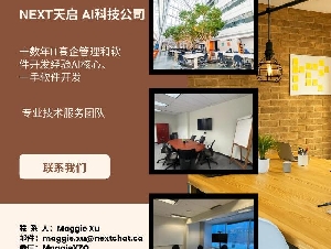 网站设计 $199 起｜满意再付款｜快速上线｜NEXT 天启科技