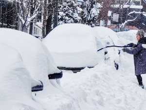 
                帮邻居铲雪差点倾家荡产！没人告诉我帮邻居铲雪会被报警啊
            