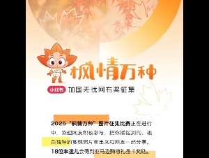
                最后一天：2025“枫情万种”图片征集活动等你参加！有礼品卡
            