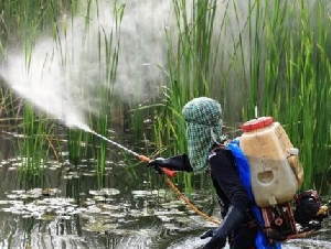 孟山都骗了全世界25年的论文，终于被强制撤稿了