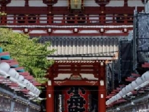 “真是个白痴” 中国游客又引发众怒了