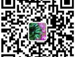 百灵法律： 海牙认证， 遗嘱，遗嘱执行  离婚，婚姻协议