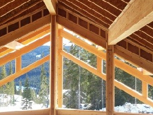 DGZ 建筑结构设计/建筑许可申请