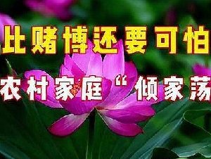 比赌博还可怕的东西，正悄悄毁掉中国无数家庭