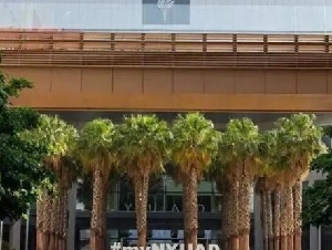战火下的面试：一群中国学霸被困阿布扎比