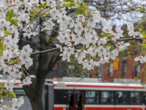 
                加拿大遍地都是好心人和活雷锋：印度大哥一个举动让我感动
            