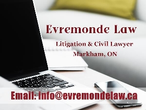 艾弗蒙德律师事务所 (Evremonde Law) 商业/民事诉讼(上庭）、投资