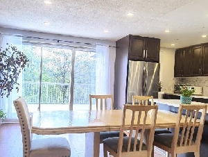 密西沙加4个地址家庭旅馆$50起，密市最低价。优质服务！
