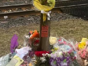 
                密西沙加13岁男孩遭GO火车撞亡：家属质问铁路口设计
            