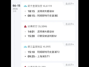 
                中国男持10年签赴美 小黑屋扣5小时遣回! 只因…
            