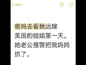 
                老人赴美探亲不足1天被女婿报警驱逐 剧情反转!
            